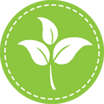 sustainability_management